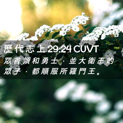 Picture 02 - 歷 代 志 上 29:24 CUVT - 眾 首 領 和 勇 士 ， 並 大 衛 王 的 - Bible Verse Picture