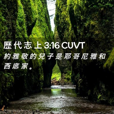Picture 02 - 歷 代 志 上 3:16 CUVT - 約 雅 敬 的 兒 子 是 耶 哥 尼 雅 和 - Bible Verse Picture