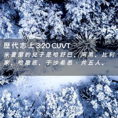 Picture 02 - 歷 代 志 上 3:20 CUVT - 米 書 蘭 的 兒 子 是 哈 舒 巴 、 阿 - Bible Verse Picture