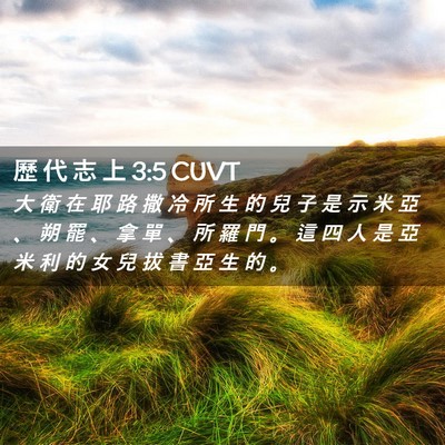 Picture 02 - 歷 代 志 上 3:5 CUVT - 大 衛 在 耶 路 撒 冷 所 生 的 兒 子 - Bible Verse Picture