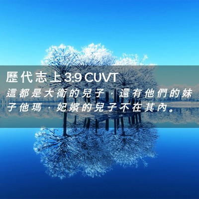 Picture 02 - 歷 代 志 上 3:9 CUVT - 這 都 是 大 衛 的 兒 子 ， 還 有 他 - Bible Verse Picture