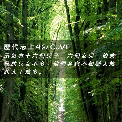Picture 02 - 歷 代 志 上 4:27 CUVT - 示 每 有 十 六 個 兒 子 ， 六 個 女 - Bible Verse Picture