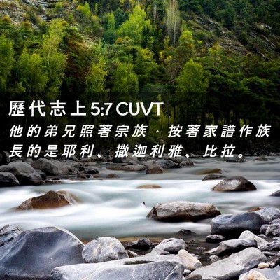 Picture 02 - 歷 代 志 上 5:7 CUVT - 他 的 弟 兄 照 著 宗 族 ， 按 著 家 - Bible Verse Picture