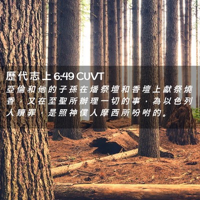 Picture 02 - 歷 代 志 上 6:49 CUVT - 亞 倫 和 他 的 子 孫 在 燔 祭 壇 和 - Bible Verse Picture