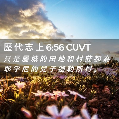 Picture 02 - 歷 代 志 上 6:56 CUVT - 只 是 屬 城 的 田 地 和 村 莊 都 為 - Bible Verse Picture