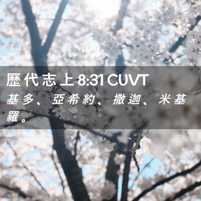 Picture 02 - 歷 代 志 上 8:31 CUVT - 基 多 、 亞 希 約 、 撒 迦 、 米 基 - Bible Verse Picture