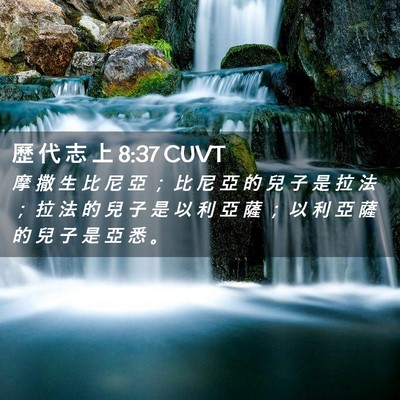 Picture 02 - 歷 代 志 上 8:37 CUVT - 摩 撒 生 比 尼 亞 ； 比 尼 亞 的 兒 - Bible Verse Picture