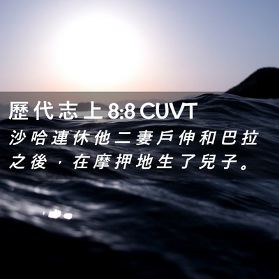 Picture 02 - 歷 代 志 上 8:8 CUVT - 沙 哈 連 休 他 二 妻 戶 伸 和 巴 拉 - Bible Verse Picture