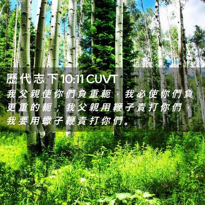 Picture 02 - 歷 代 志 下 10:11 CUVT - 我 父 親 使 你 們 負 重 軛 ， 我 必 - Bible Verse Picture