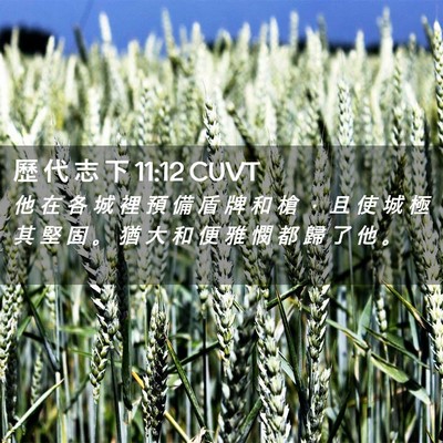 Picture 02 - 歷 代 志 下 11:12 CUVT - 他 在 各 城 裡 預 備 盾 牌 和 槍 ， - Bible Verse Picture