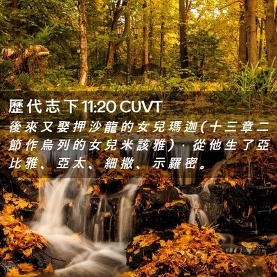 Picture 02 - 歷 代 志 下 11:20 CUVT - 後 來 又 娶 押 沙 龍 的 女 兒 瑪 迦 ( - Bible Verse Picture