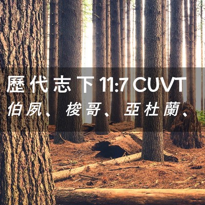 Picture 02 - 歷 代 志 下 11:7 CUVT - 伯 夙 、 梭 哥 、 亞 杜 蘭 - Bible Verse Picture
