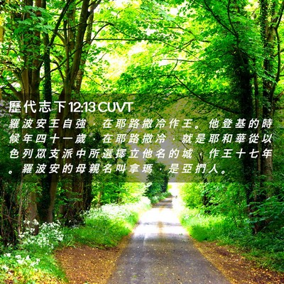 Picture 02 - 歷 代 志 下 12:13 CUVT - 羅 波 安 王 自 強 ， 在 耶 路 撒 冷 - Bible Verse Picture