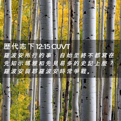 Picture 02 - 歷 代 志 下 12:15 CUVT - 羅 波 安 所 行 的 事 ， 自 始 至 終 - Bible Verse Picture