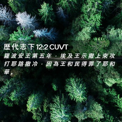 Picture 02 - 歷 代 志 下 12:2 CUVT - 羅 波 安 王 第 五 年 ， 埃 及 王 示 - Bible Verse Picture