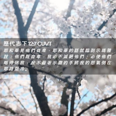 Picture 02 - 歷 代 志 下 12:7 CUVT - 耶 和 華 見 他 們 自 卑 ， 耶 和 華 - Bible Verse Picture