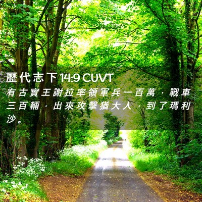 Picture 02 - 歷 代 志 下 14:9 CUVT - 有 古 實 王 謝 拉 率 領 軍 兵 一 百 - Bible Verse Picture