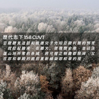Picture 02 - 歷 代 志 下 15:8 CUVT - 亞 撒 聽 見 這 話 和 俄 德 兒 子 先 - Bible Verse Picture