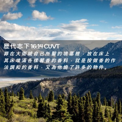 Picture 02 - 歷 代 志 下 16:14 CUVT - 葬 在 大 衛 城 自 己 所 鑿 的 墳 墓 - Bible Verse Picture