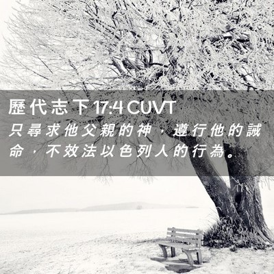 Picture 02 - 歷 代 志 下 17:4 CUVT - 只 尋 求 他 父 親 的 神 ， 遵 行 他 - Bible Verse Picture