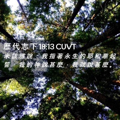 Picture 02 - 歷 代 志 下 18:13 CUVT - 米 該 雅 說 ： 我 指 著 永 生 的 耶 - Bible Verse Picture