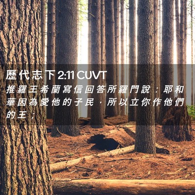 Picture 02 - 歷 代 志 下 2:11 CUVT - 推 羅 王 希 蘭 寫 信 回 答 所 羅 門 - Bible Verse Picture