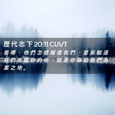 Picture 02 - 歷 代 志 下 20:11 CUVT - 看 哪 ， 他 們 怎 樣 報 復 我 們 ， - Bible Verse Picture