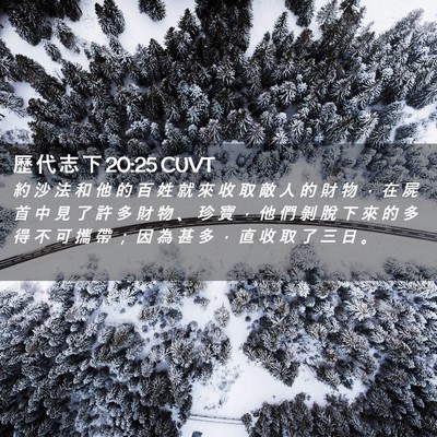 Picture 02 - 歷 代 志 下 20:25 CUVT - 約 沙 法 和 他 的 百 姓 就 來 收 取 - Bible Verse Picture