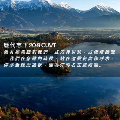 Picture 02 - 歷 代 志 下 20:9 CUVT - 倘 有 禍 患 臨 到 我 們 ， 或 刀 兵 - Bible Verse Picture