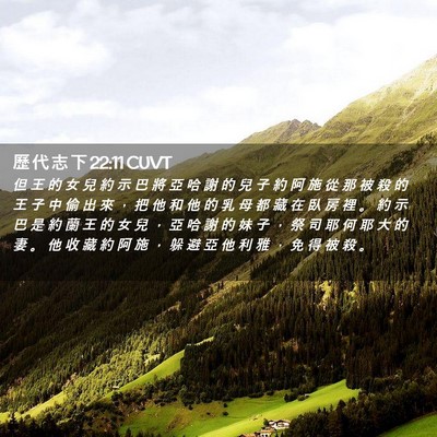 Picture 02 - 歷 代 志 下 22:11 CUVT - 但 王 的 女 兒 約 示 巴 將 亞 哈 謝 - Bible Verse Picture