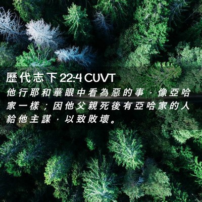 Picture 02 - 歷 代 志 下 22:4 CUVT - 他 行 耶 和 華 眼 中 看 為 惡 的 事 - Bible Verse Picture