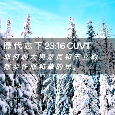 Picture 02 - 歷 代 志 下 23:16 CUVT - 耶 何 耶 大 與 眾 民 和 王 立 約 ， - Bible Verse Picture