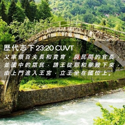 Picture 02 - 歷 代 志 下 23:20 CUVT - 又 率 領 百 夫 長 和 貴 冑 ， 與 民 - Bible Verse Picture