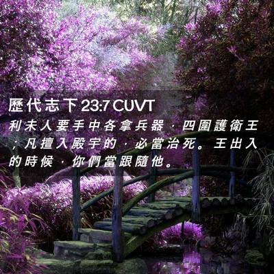 Picture 02 - 歷 代 志 下 23:7 CUVT - 利 未 人 要 手 中 各 拿 兵 器 ， 四 - Bible Verse Picture
