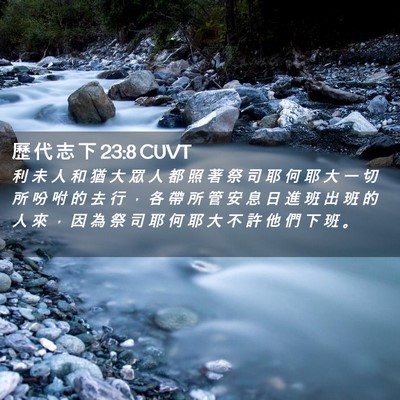 Picture 02 - 歷 代 志 下 23:8 CUVT - 利 未 人 和 猶 大 眾 人 都 照 著 祭 - Bible Verse Picture