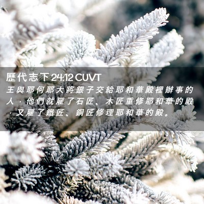 Picture 02 - 歷 代 志 下 24:12 CUVT - 王 與 耶 何 耶 大 將 銀 子 交 給 耶 - Bible Verse Picture