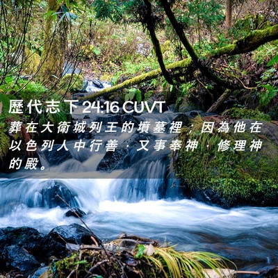 Picture 02 - 歷 代 志 下 24:16 CUVT - 葬 在 大 衛 城 列 王 的 墳 墓 裡 ； - Bible Verse Picture