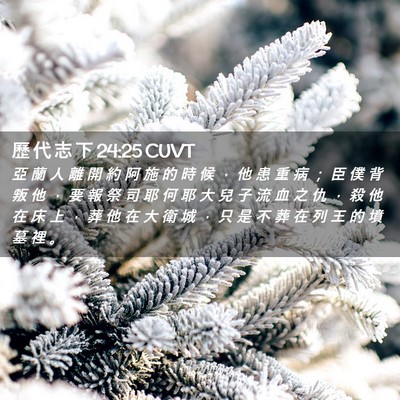 Picture 02 - 歷 代 志 下 24:25 CUVT - 亞 蘭 人 離 開 約 阿 施 的 時 候 ， - Bible Verse Picture