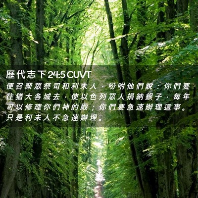 Picture 02 - 歷 代 志 下 24:5 CUVT - 便 召 聚 眾 祭 司 和 利 未 人 ， 吩 - Bible Verse Picture