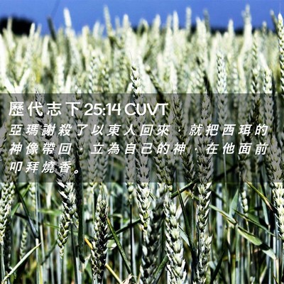 Picture 02 - 歷 代 志 下 25:14 CUVT - 亞 瑪 謝 殺 了 以 東 人 回 來 ， 就 - Bible Verse Picture