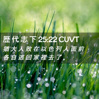 Picture 02 - 歷 代 志 下 25:22 CUVT - 猶 大 人 敗 在 以 色 列 人 面 前 ， - Bible Verse Picture