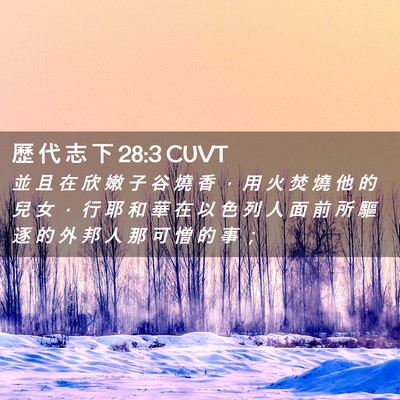 Picture 02 - 歷 代 志 下 28:3 CUVT - 並 且 在 欣 嫩 子 谷 燒 香 ， 用 火 - Bible Verse Picture
