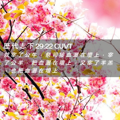 Picture 02 - 歷 代 志 下 29:22 CUVT - 就 宰 了 公 牛 ， 祭 司 接 血 灑 在 - Bible Verse Picture