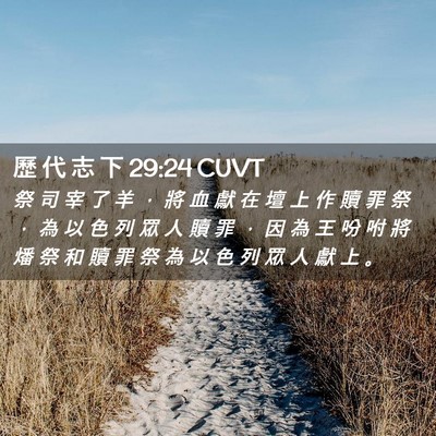 Picture 02 - 歷 代 志 下 29:24 CUVT - 祭 司 宰 了 羊 ， 將 血 獻 在 壇 上 - Bible Verse Picture