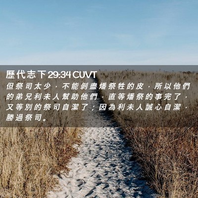 Picture 02 - 歷 代 志 下 29:34 CUVT - 但 祭 司 太 少 ， 不 能 剝 盡 燔 祭 - Bible Verse Picture