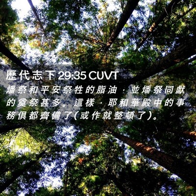 Picture 02 - 歷 代 志 下 29:35 CUVT - 燔 祭 和 平 安 祭 牲 的 脂 油 ， 並 - Bible Verse Picture