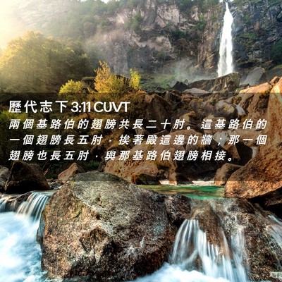 Picture 02 - 歷 代 志 下 3:11 CUVT - 兩 個 基 路 伯 的 翅 膀 共 長 二 十 - Bible Verse Picture