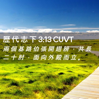 Picture 02 - 歷 代 志 下 3:13 CUVT - 兩 個 基 路 伯 張 開 翅 膀 ， 共 長 - Bible Verse Picture