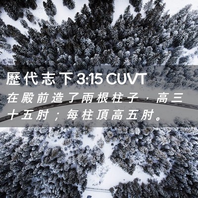Picture 02 - 歷 代 志 下 3:15 CUVT - 在 殿 前 造 了 兩 根 柱 子 ， 高 三 - Bible Verse Picture