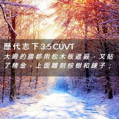 Picture 02 - 歷 代 志 下 3:5 CUVT - 大 殿 的 牆 都 用 松 木 板 遮 蔽 ， - Bible Verse Picture